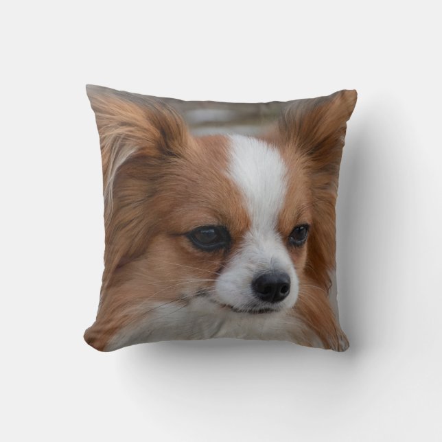Friendly Papillon Puppy Dog Cushion (Front)