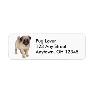 Friendly Pug Dog Label