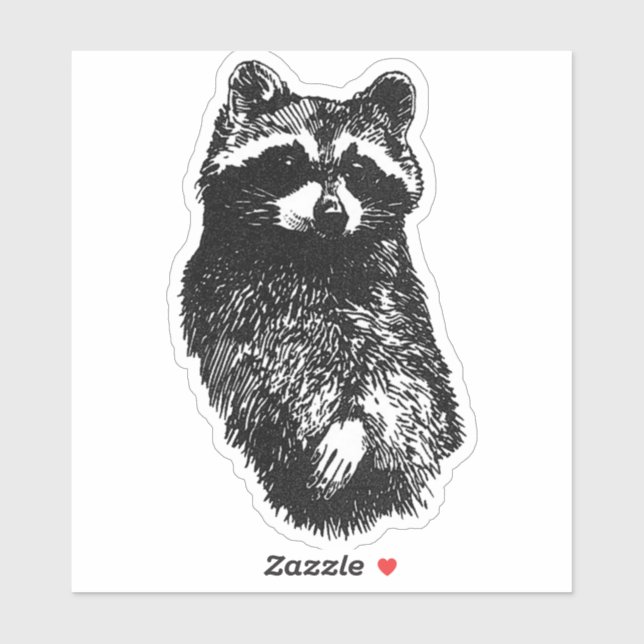 Friendly Racoon (Sheet)