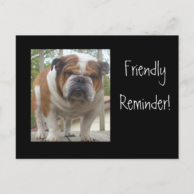 Friendly Reminder English Bulldog Postcards (Front)