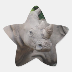 Friendly Rhino Star Sticker