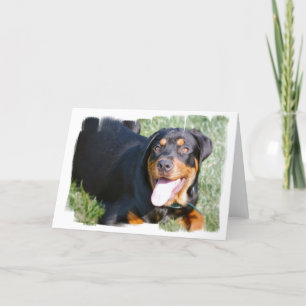 Friendly Rottweiler Greeting Card