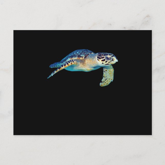 Friendly Sea Turtle Swimming Underwater Photo Art Invitation Postcard (Front)