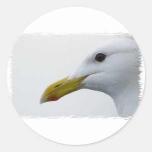 Friendly Seagull? Classic Round Sticker