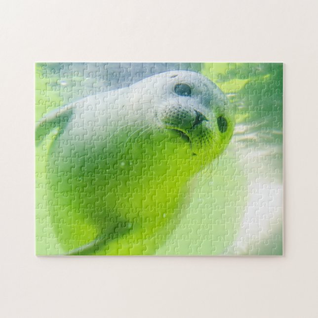 Friendly Seal Jigsaw Puzzle (Horizontal)