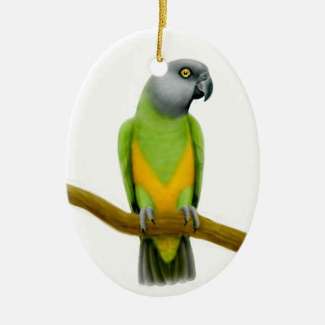 Friendly Senegal Parrot Ornament (Front)