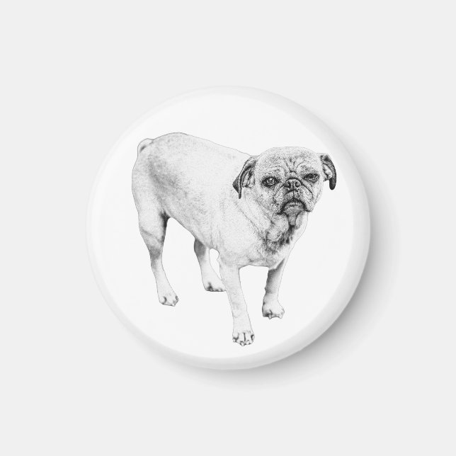 Friendly Shaded Dog Magnet For Comforting Spaces (Front)