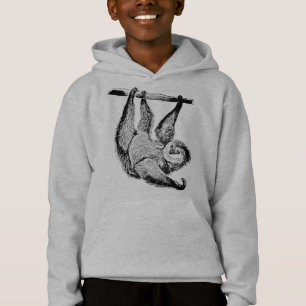 Friendly sloth