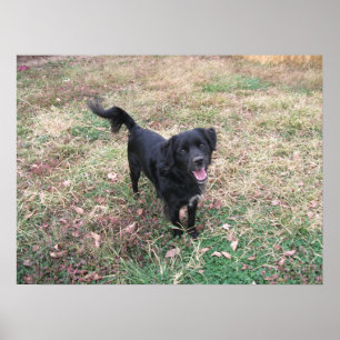 Friendly Smokey Poster