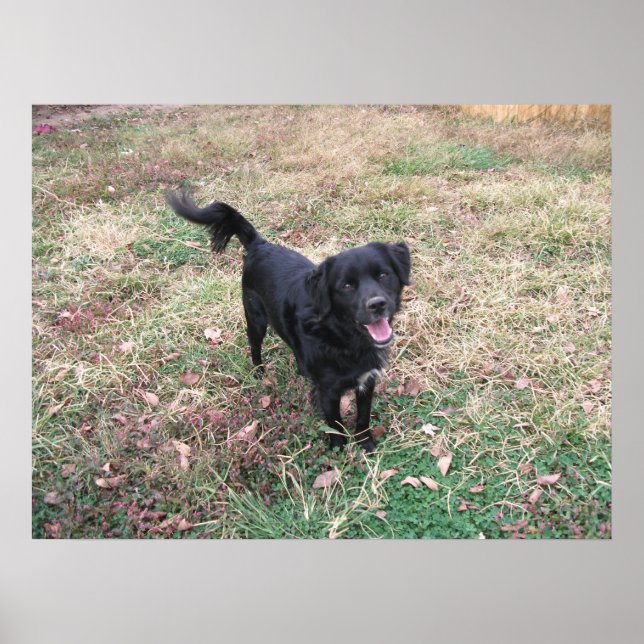 Friendly Smokey Poster (Front)