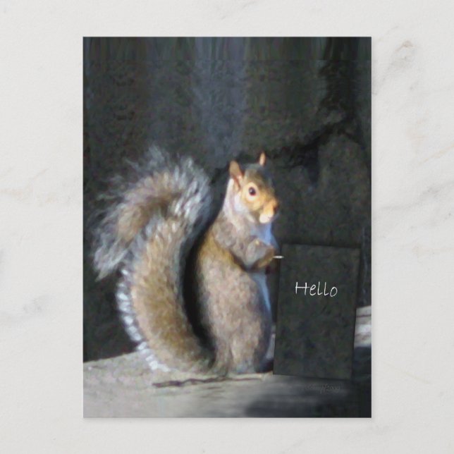 Friendly Squirrel Postcard (Front)