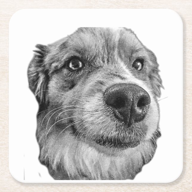 Friendly Stare Square Paper Coaster (Front)