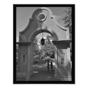 Friendly Stroll Photo Print