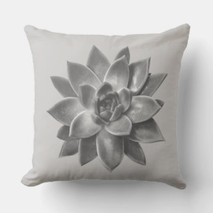 Friendly Succulent Plant on Light Silver Grey Cushion