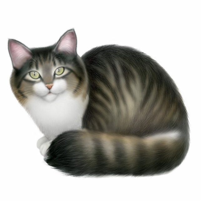 Friendly Tabby Cat Ornament Photo Sculpture Decoration (Front)