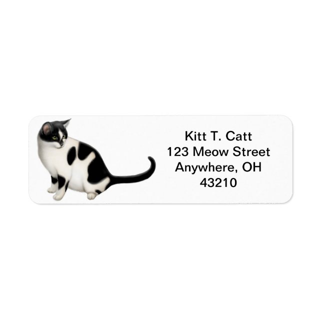 Friendly Tuxedo Cat Customisable (Front)