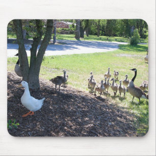 Friendly White Duck with Geese Mouse Mat