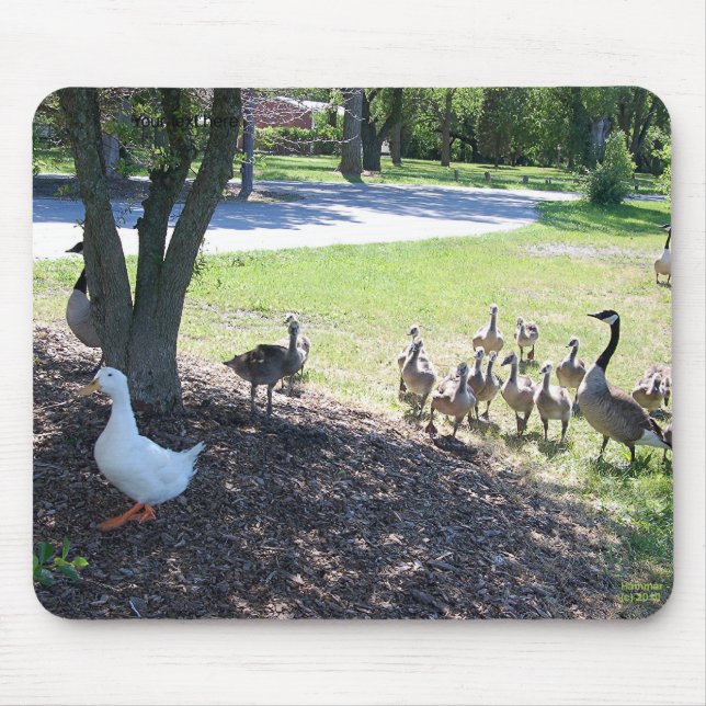 Friendly White Duck with Geese Mouse Mat (Front)