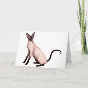 Friendly Young Siamese Cat Card