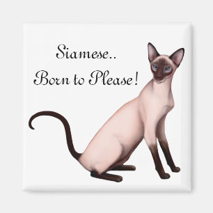 Friendly Young Siamese Cat Customisable Magnet