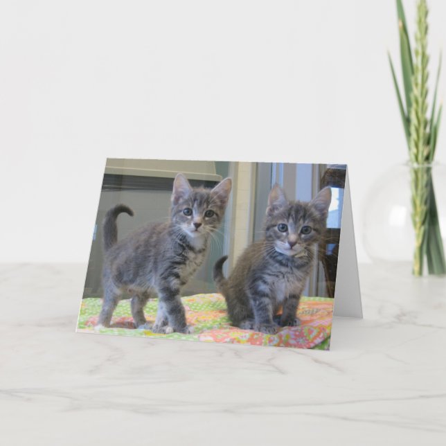 Friends 099 card (Front)