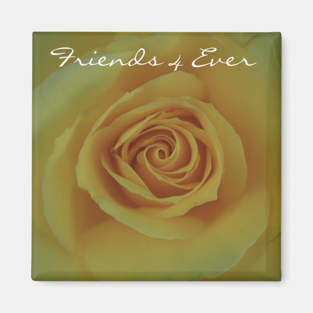 Friends 4 Ever Magnet (Front)