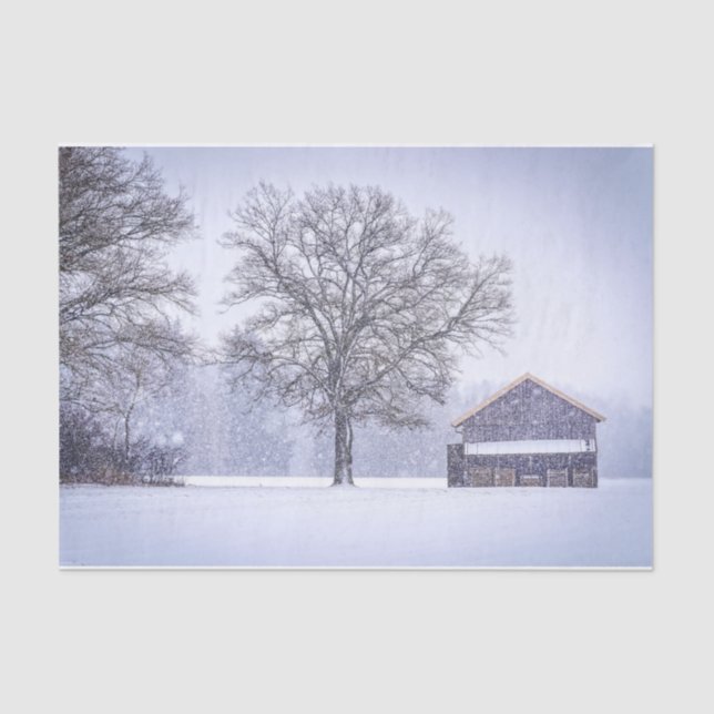 Friends - A Barn and a Tree in Snow Tissue Paper (Front)