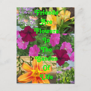 Friends are Flowers ... postcard   PC78