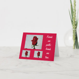 Friends are Gentle Card