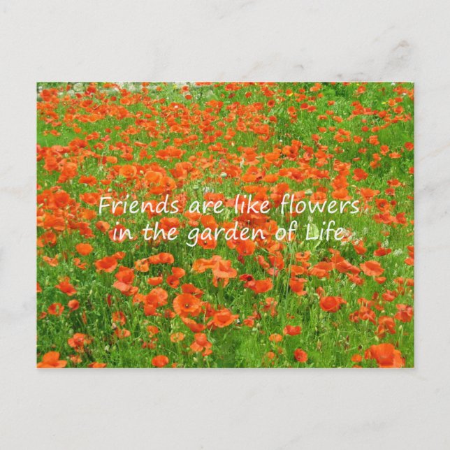 Friends Are Like Flowers Postcard (Front)