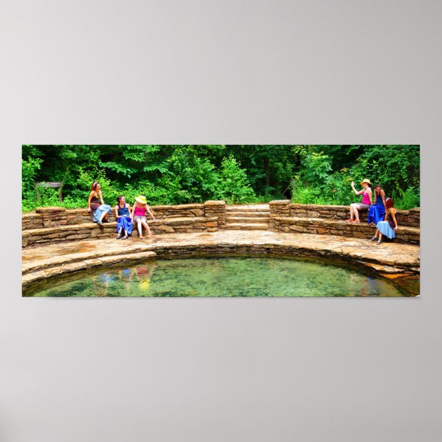 Friends at Buffalo Spring III - Colour Saturated Poster (Front)