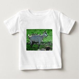 Friends Baby T-Shirt