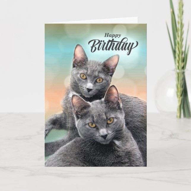Friends Birthday Grey Cats for the Cat Lover Card (Front)