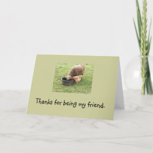 Friends Card