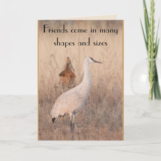 Friends Card (Front)