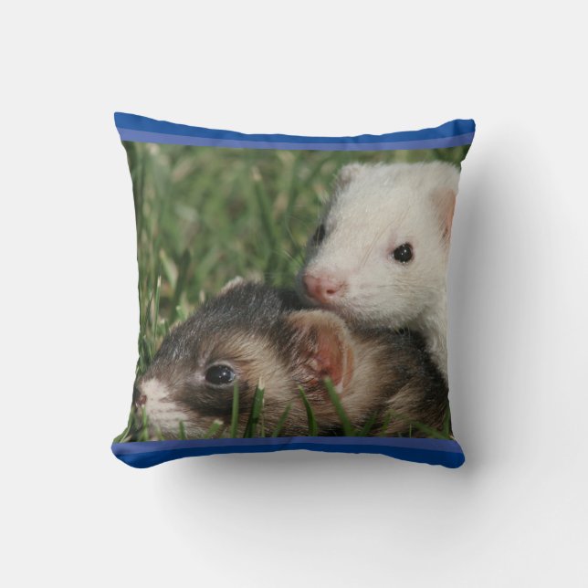 Friends Cute Picture of Sleepy Ferrets Cushion (Front)