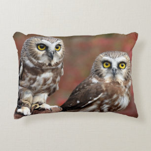 Friends Decorative Cushion
