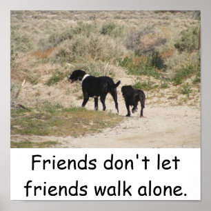 Friends Don't Let Friends Walk Alone Poster