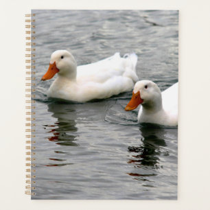 Friends For Life Planner
