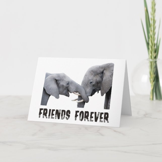 Friends Forever Elephants hugging / kissing Card (Front)