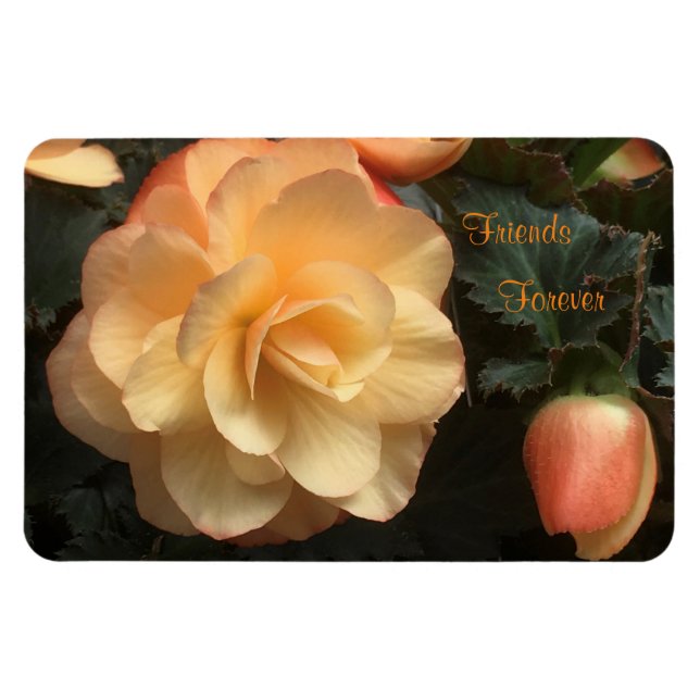 Friends Forever Magnet (Horizontal)