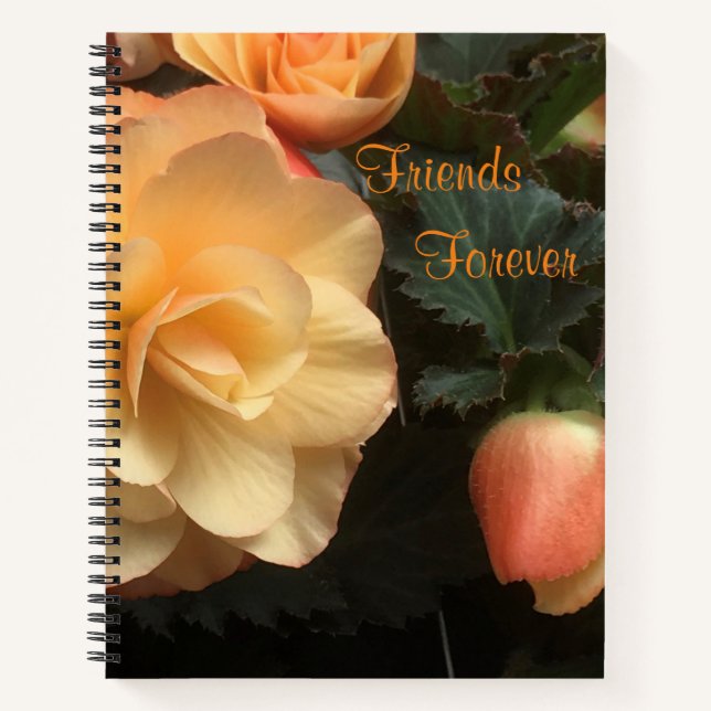 Friends Forever Notebook (Front)