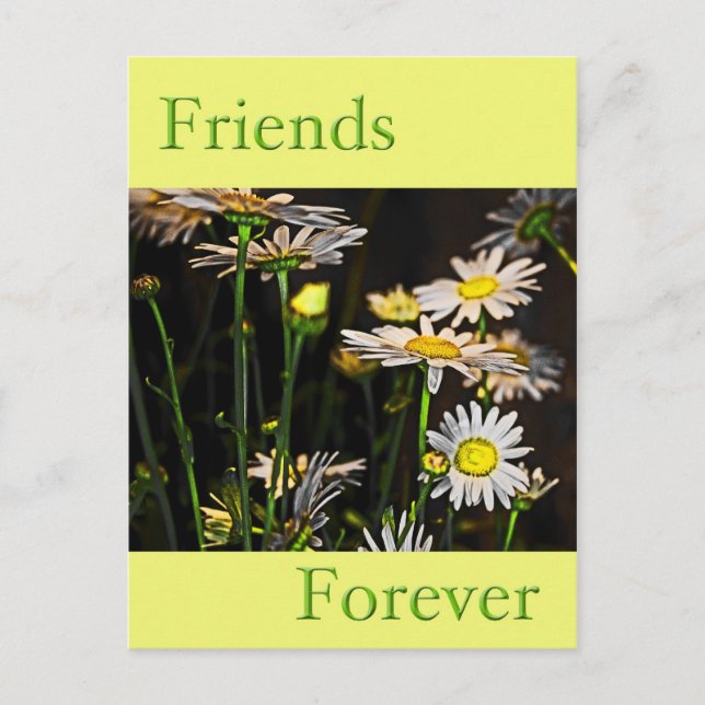 Friends Forever Postcard (Front)