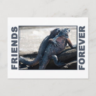 Friends Forever Postcard