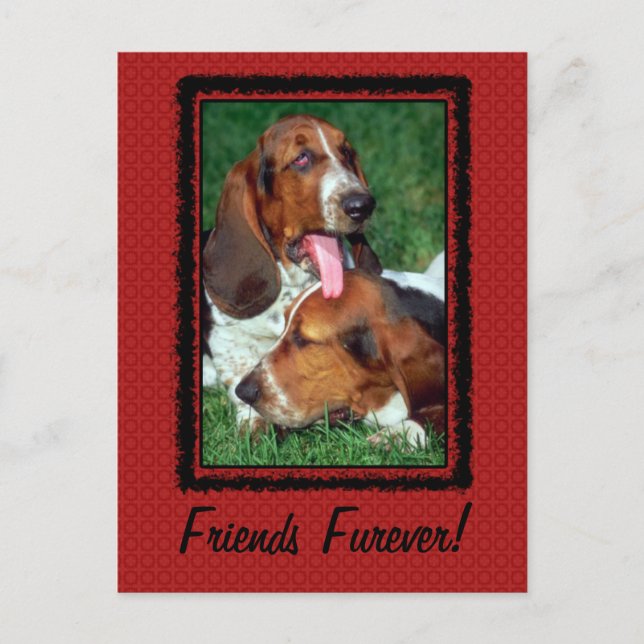 Friends Furever [Forever] Postcard (Front)