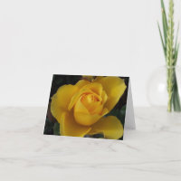 Friends Garden Blank Inside Note Cards Variety