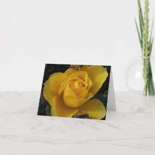 Friends Garden Blank Inside Note Cards Variety