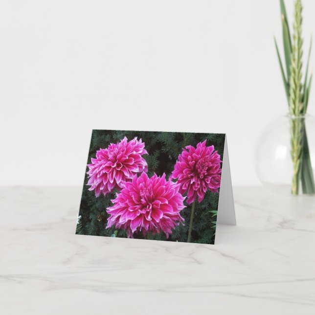 Friends Garden Blank Inside Note Cards Variety (Front)