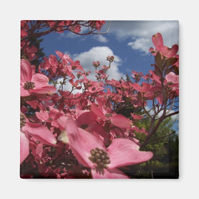 Friends Garden Floral Variety Gift Magnet (Front)