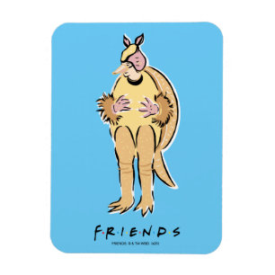 FRIENDS™   Holiday Armadillo Magnet